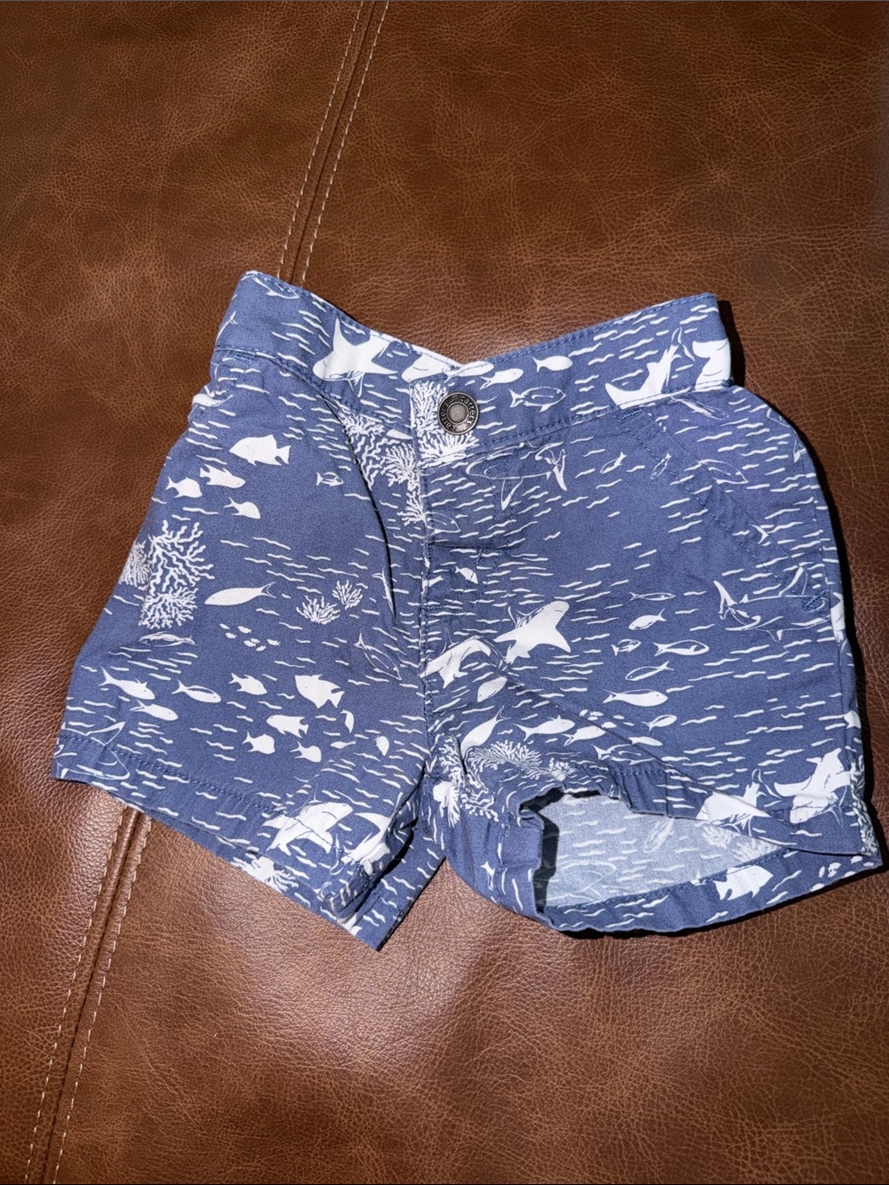 Carter’s shark shorts